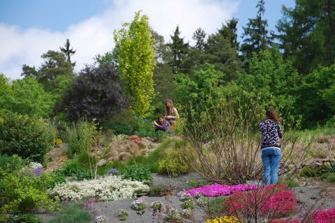 Obrázek: pages/arboretum-macu-pikcu-2-.jpg